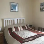 Dolphin 3*