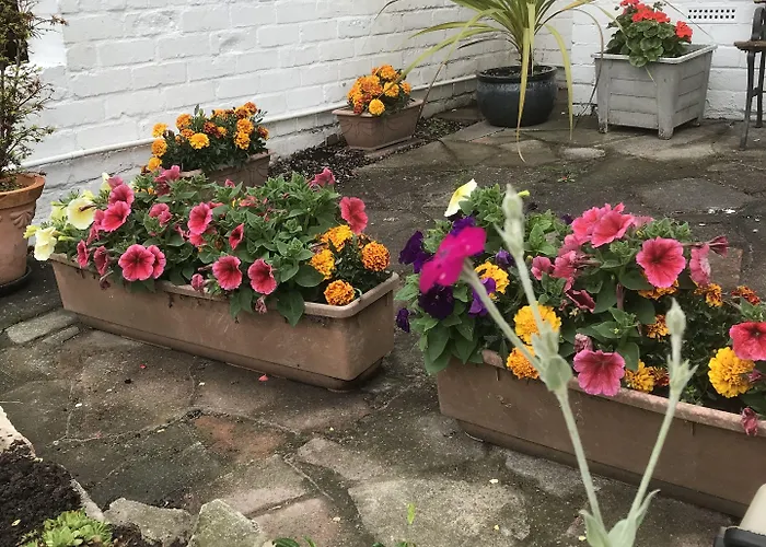 Dolphin Casa de hóspedes Scarborough